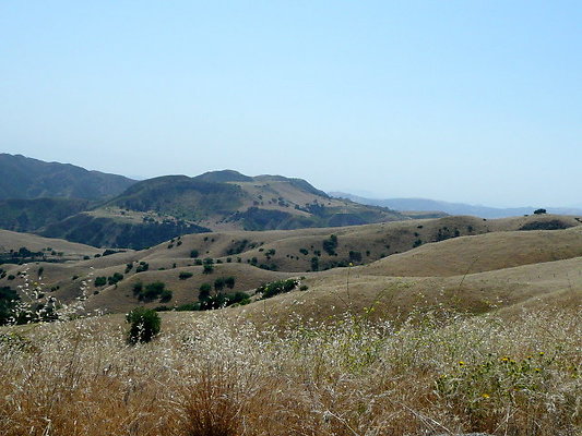 P1070948