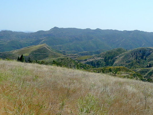 P1070928