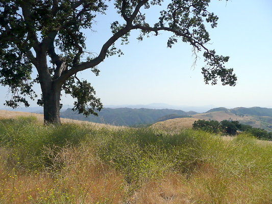 P1070960