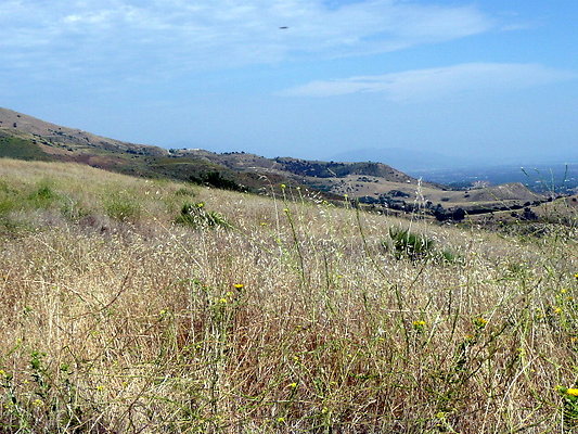 P1070921