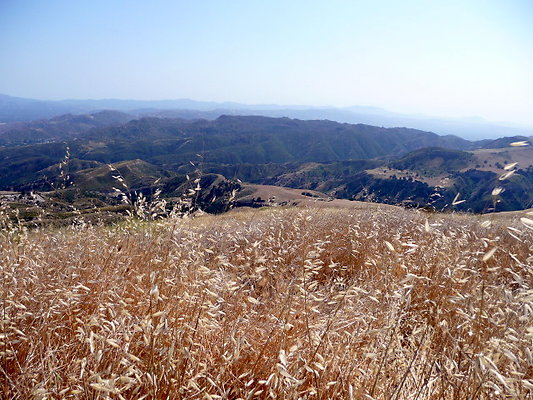 P1080009