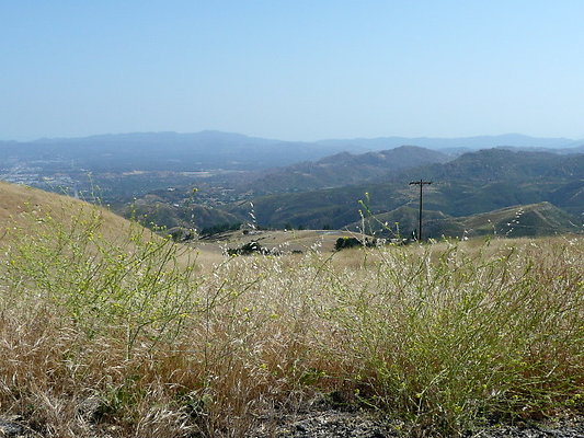 P1070951