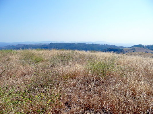 P1070987