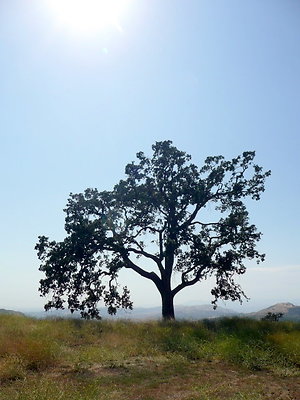 P1070983