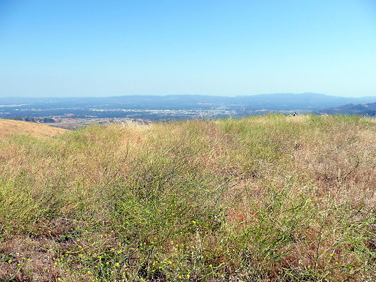 P1070986