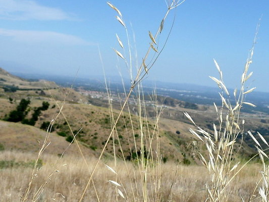 P1070940