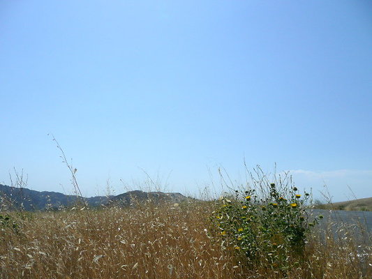 P1070942