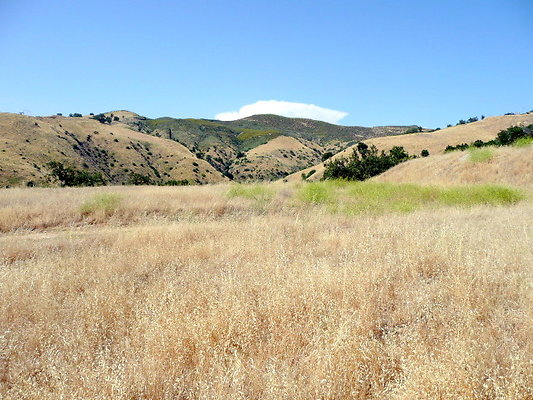P1070975