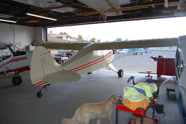 CP.Aviation.Santa.Paula.19