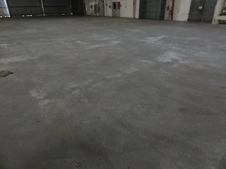 DSC06307