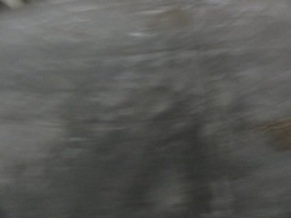 DSC06299