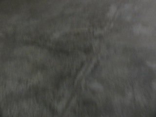DSC06312