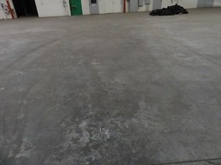 DSC06311