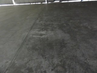 DSC06313