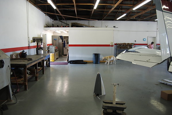 Rays.Aviationi.SP.17