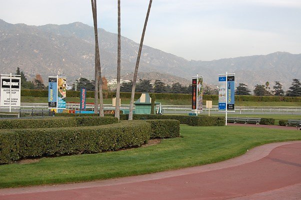 DSC 0330