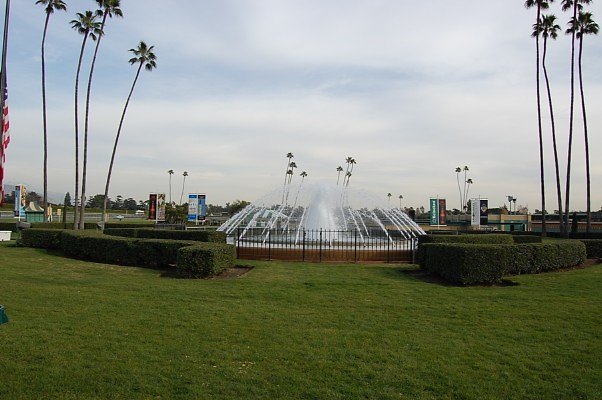 DSC 0337