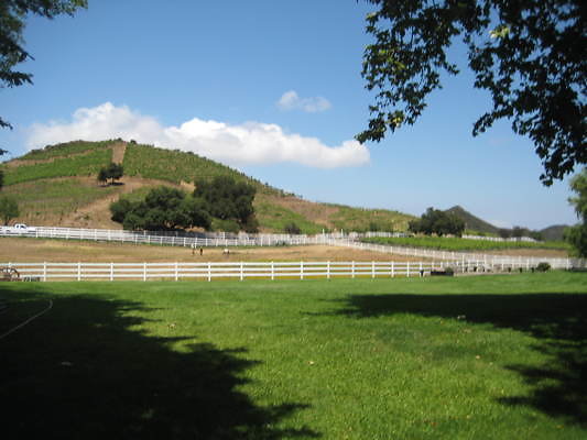 MH.Front.Lawn
