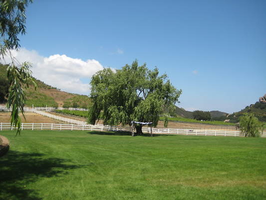 MH.Field