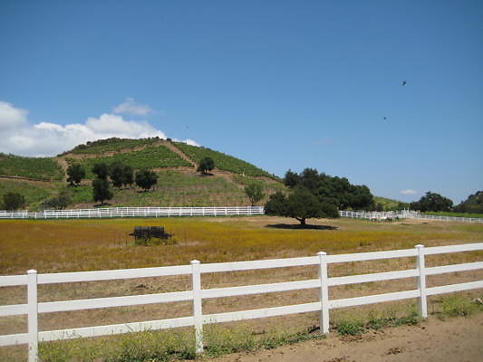 MH.Pasture