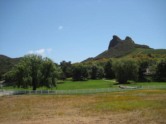 MH.Grass.1