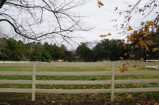 DSC08197