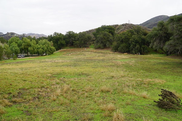 DSC08122