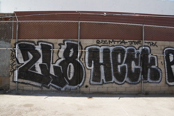 DSC08373