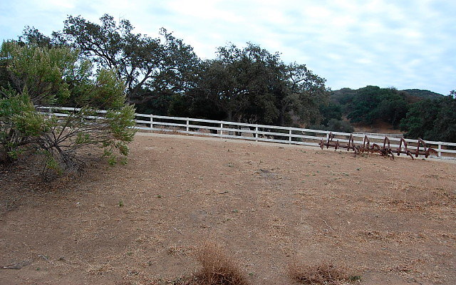 DSC 0181