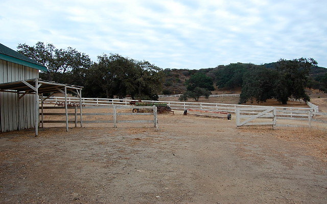 DSC 0201