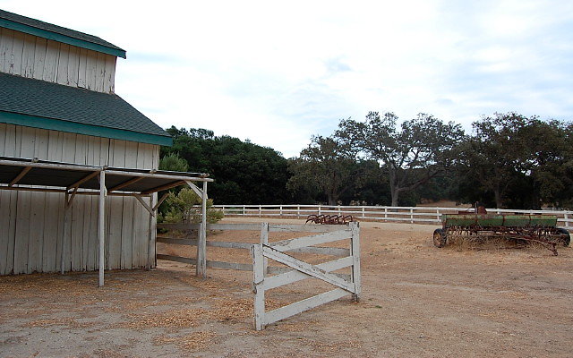 DSC 0197