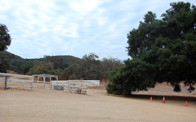 DSC 0166