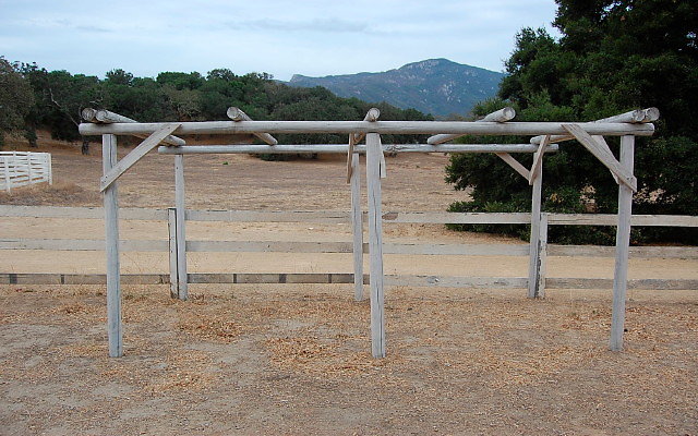 DSC 0194a