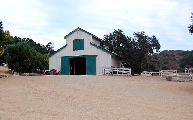 DSC 0160