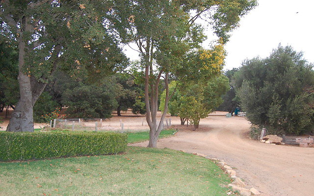 DSC 0164