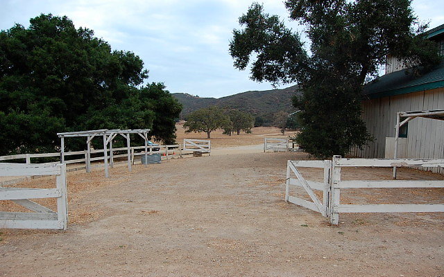 DSC 0191