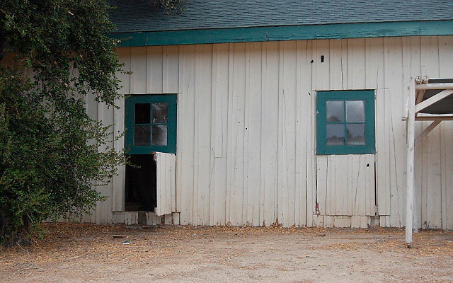DSC 0194