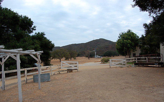 DSC 0195