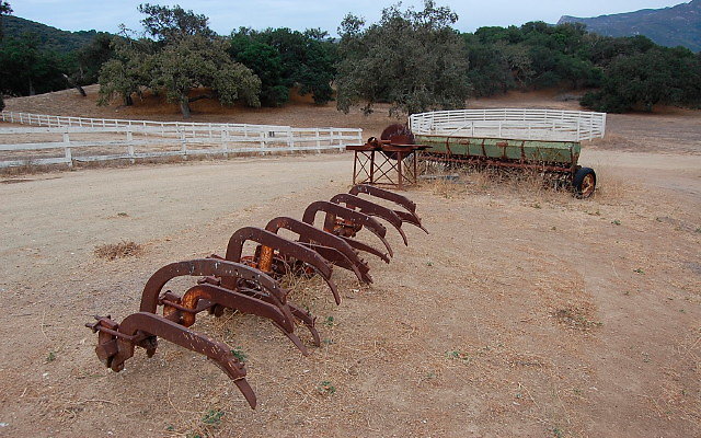 DSC 0186
