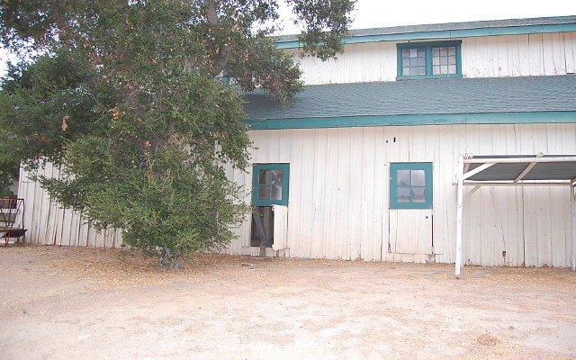 DSC 0196