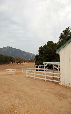 DSC 0183