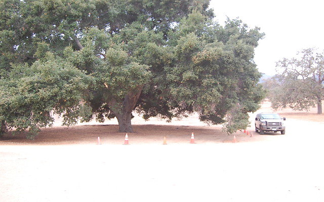 DSC 0167