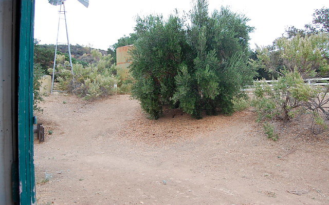 DSC 0180