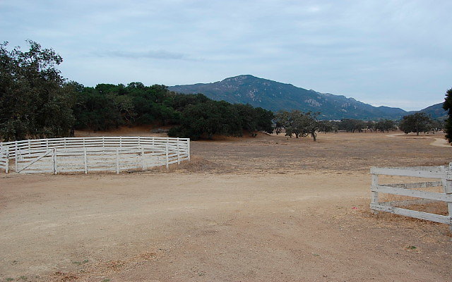 DSC 0190