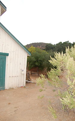 DSC 0185