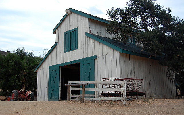 DSC 0204
