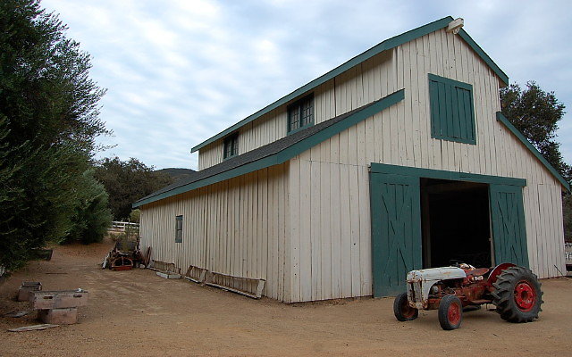 DSC 0205