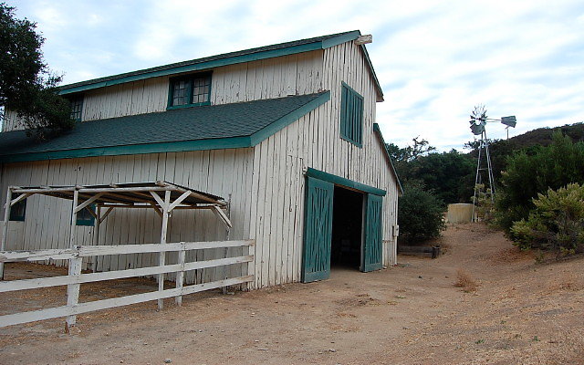 DSC 0192