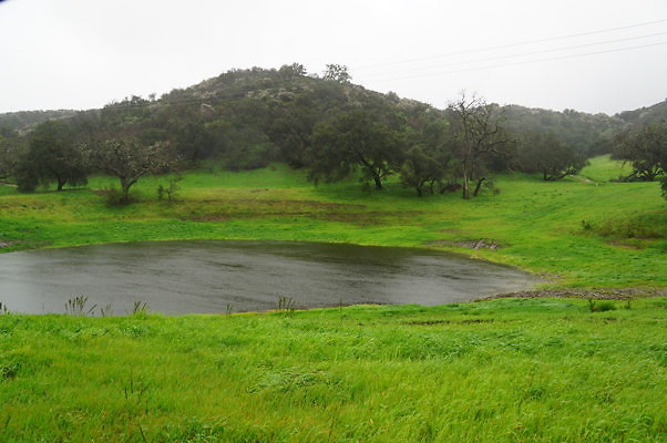 Ventura.Farms.Pond.02