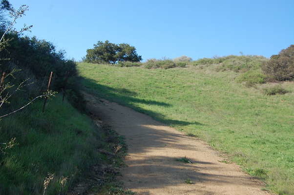DSC 0978